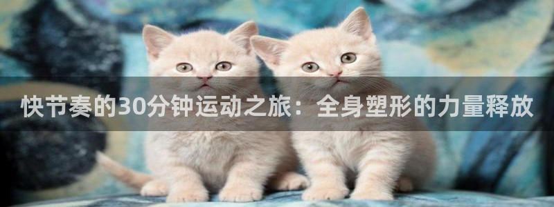 龙8游戏官网