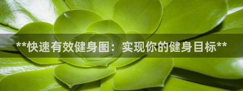 龙八国际手机客户端