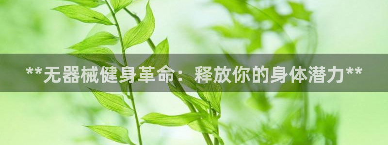 国际龙8官网pt客户端下载