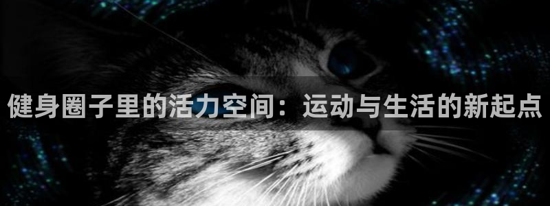 龙八国际服官网入口