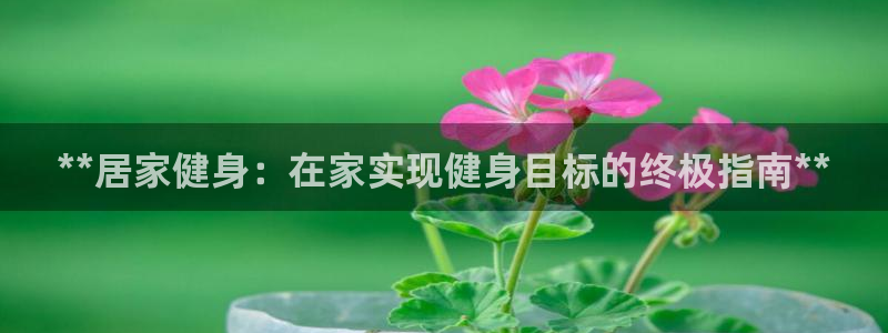 龙8国际电子平台