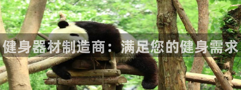龙8国际龙8官方