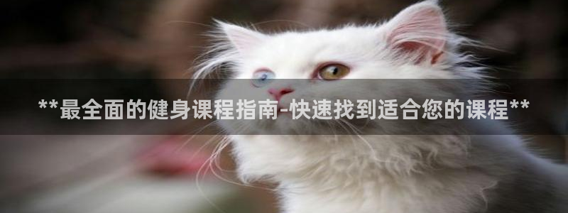 龙8国际线上