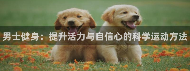 龙8国际龙8官方网站
