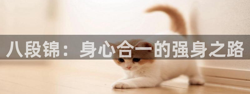 龙8国际long8