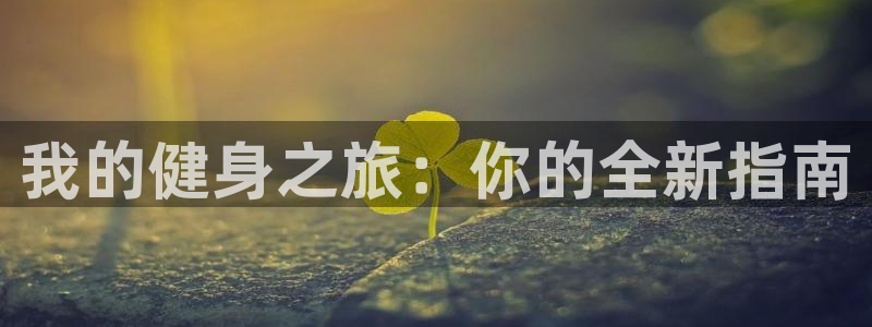 龙8国际电子平台