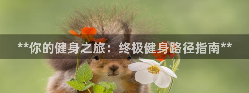 龙8国际官网版最新版下载