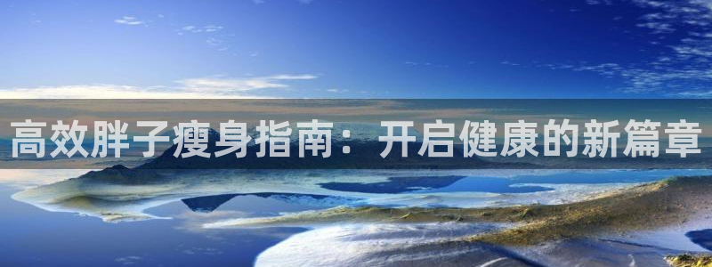 龙八国际网页