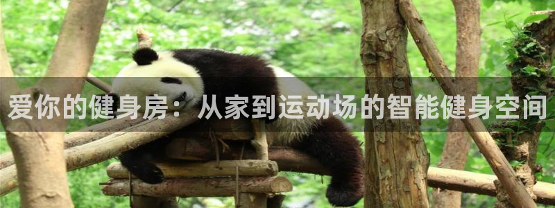 龙八国际app客户下载