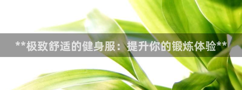 龙8国际.apk