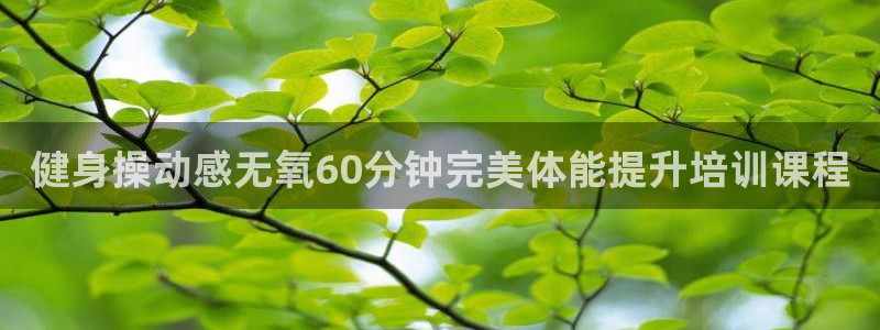 龙8国际2021年4.15更新版baoli
