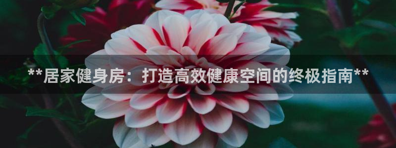 龙8国际官网手机客户端