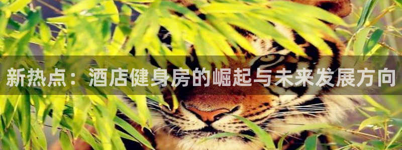 龙8国际害死多少人