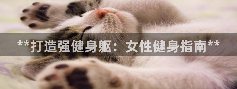 龙8国际手机官网下载安装