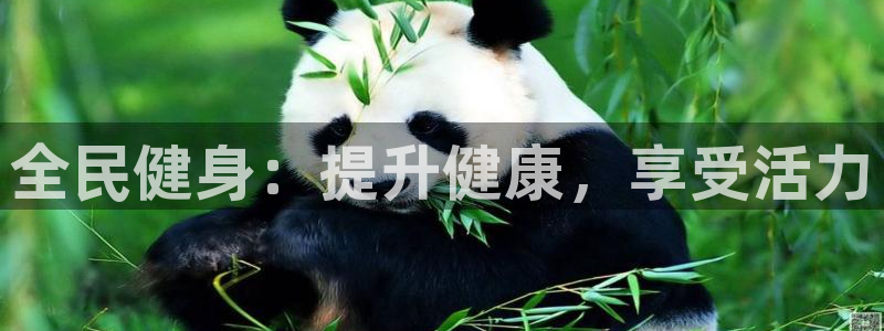 龙8国际老虎机娱乐