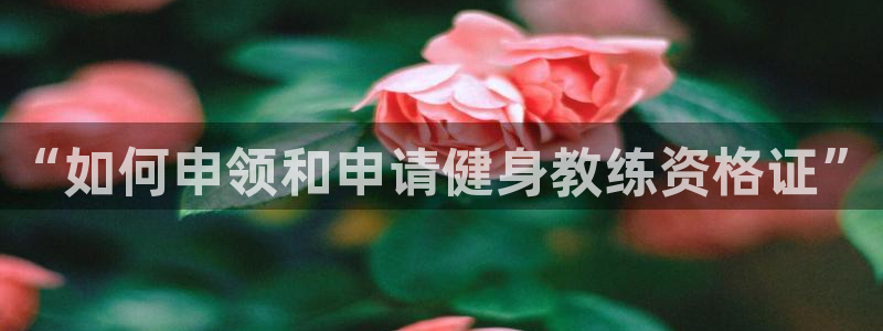 龙8国际开户