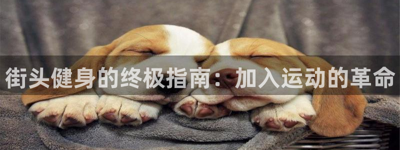 龙8国际官网 点此进入游戏