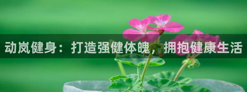 龙8国际试玩