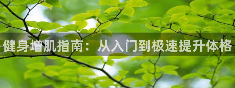 龙8国际官网下载地址
