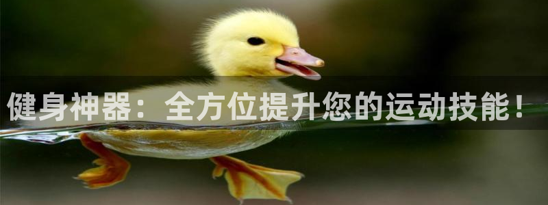 龙8游戏官方网站z