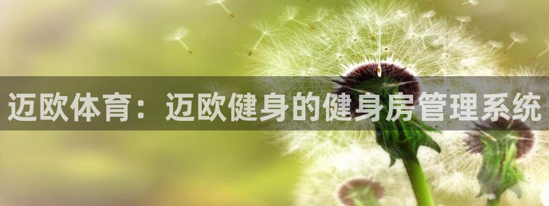 龙8国际官网版手机版