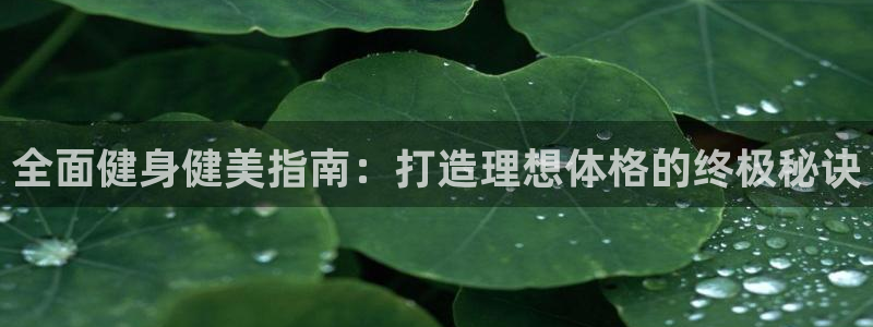 龙8国际怎么进不去了