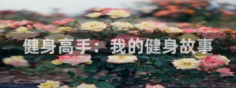 龙8国际long8