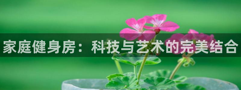 龙8国际long8