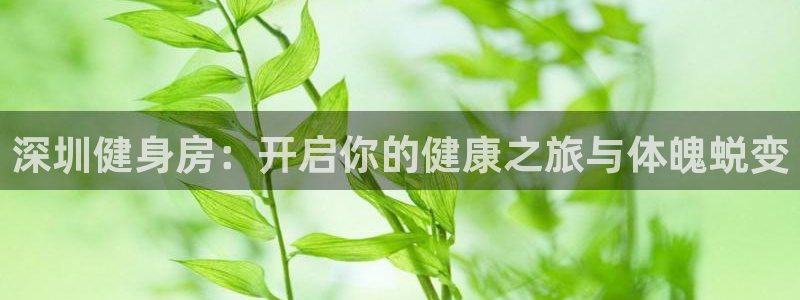 龙8国际提现被黑