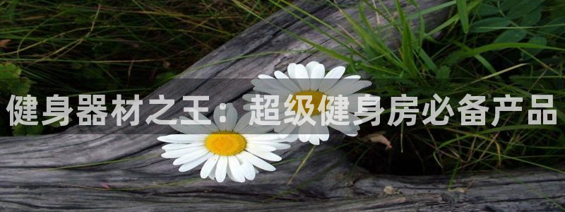 龙8国际long8龙8游戏