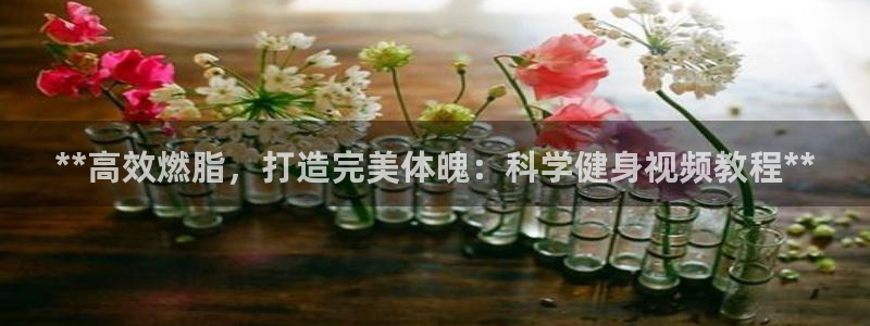 国际龙8hk