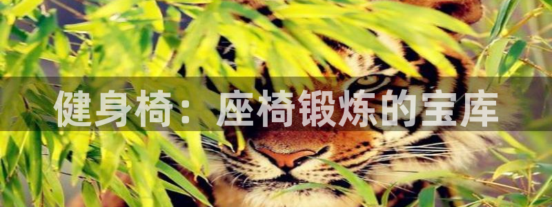 龙8国际手机游戏官网