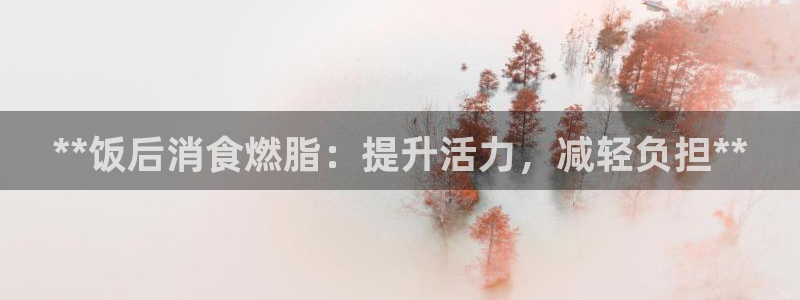 龙8游戏官方网站p