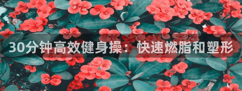 龙8国际游戏公司官网