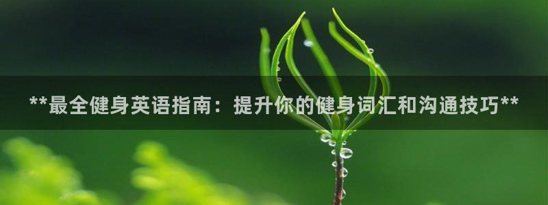 龙八国际网页