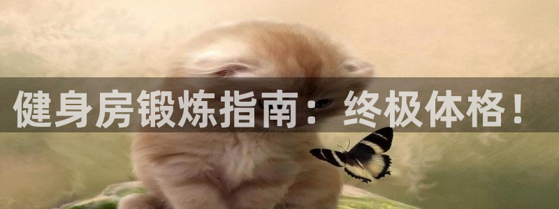 龙8全新客户端安卓版