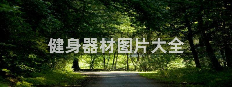 龙8国际游戏官方进入的介绍