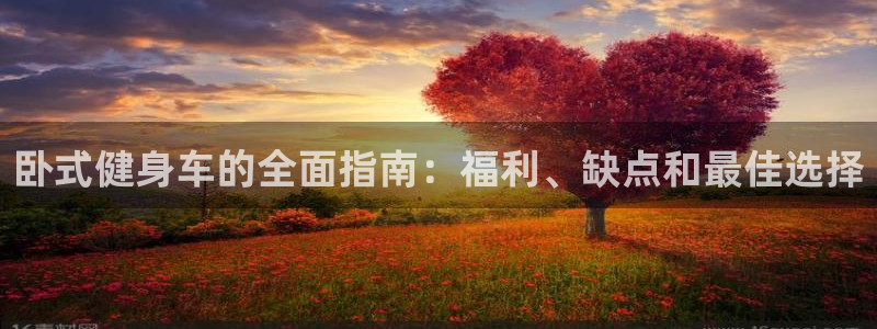 龙8游戏网站