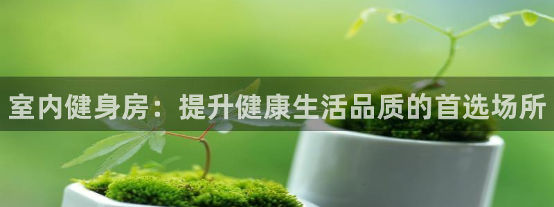 龙八国际官方网