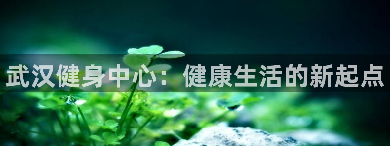 龙8国际官网下载