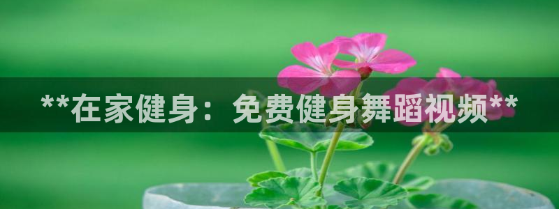 龙8国际安卓版
