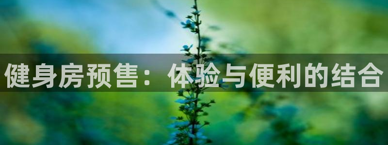龙8国际手机游戏官网下载