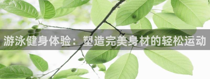 龙8国际是真的吗