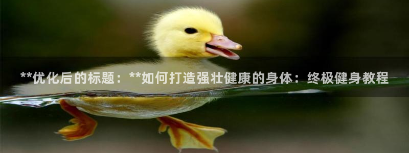 龙8国际的官网