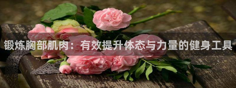 龙8国际城