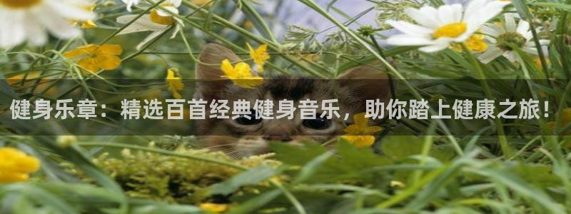 龙八国际pt