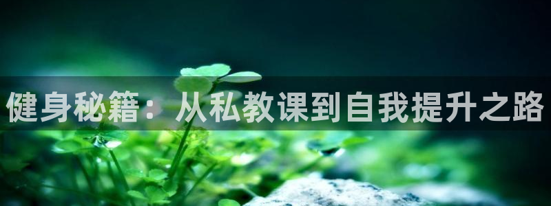龙8国际总代理