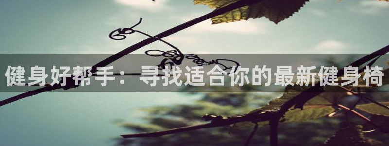 龙8国际app 下载