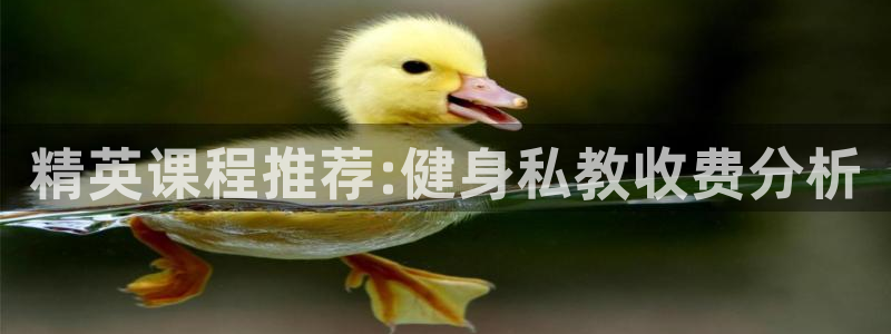 龙8游戏城网址