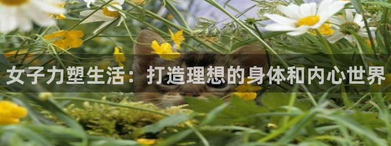 龙8国际3.0